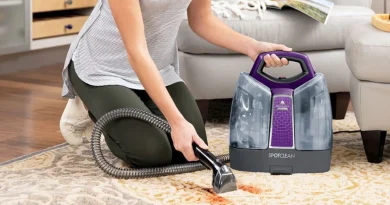 Best Carpet Cleaning Services To Keep Your Home Looking Clean