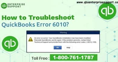 QuickBooks error 6010