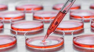 Cell Culture Market