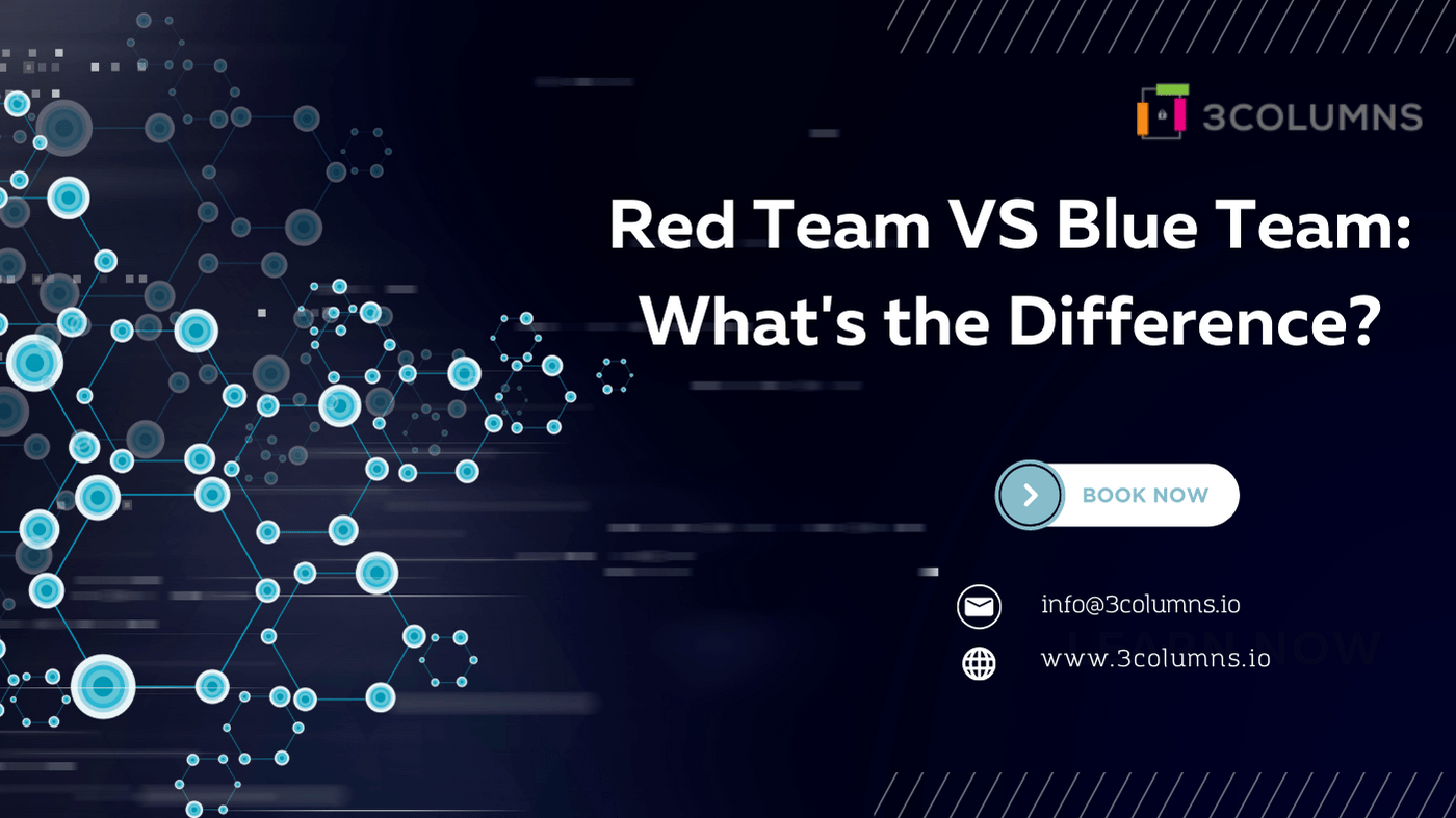 Red Team VS Blue Team: What's the Difference