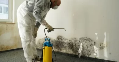 affordable mold damage remediation services LA