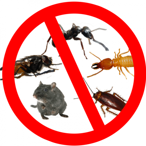 Pest Control Yorkville IL