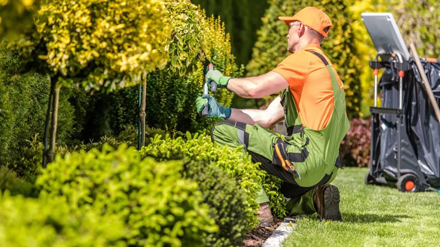 landscaper Yorkville IL