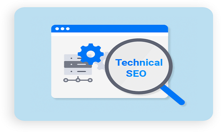 SEO company in USA