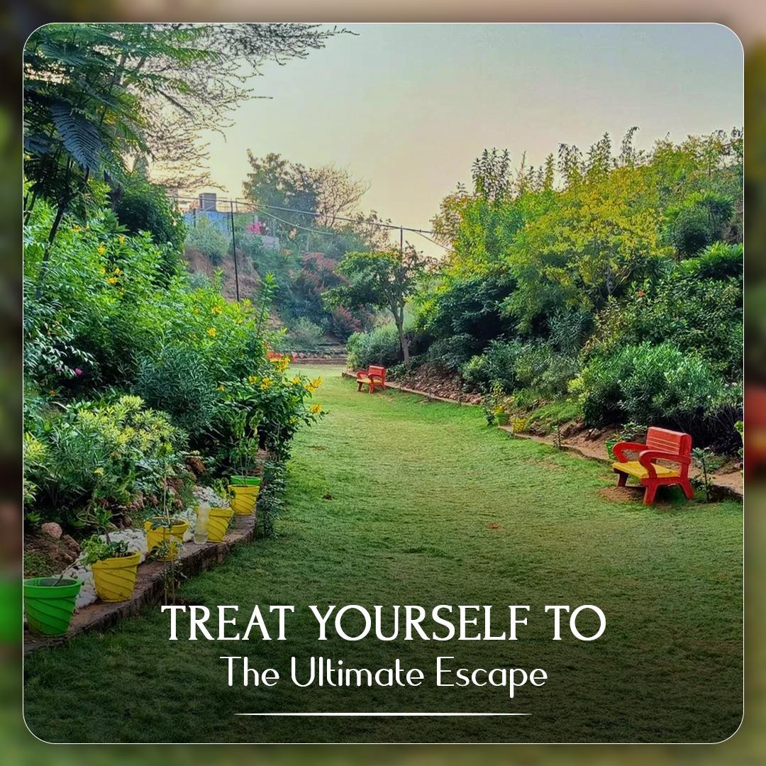 Treat yourself to The ultimate escape