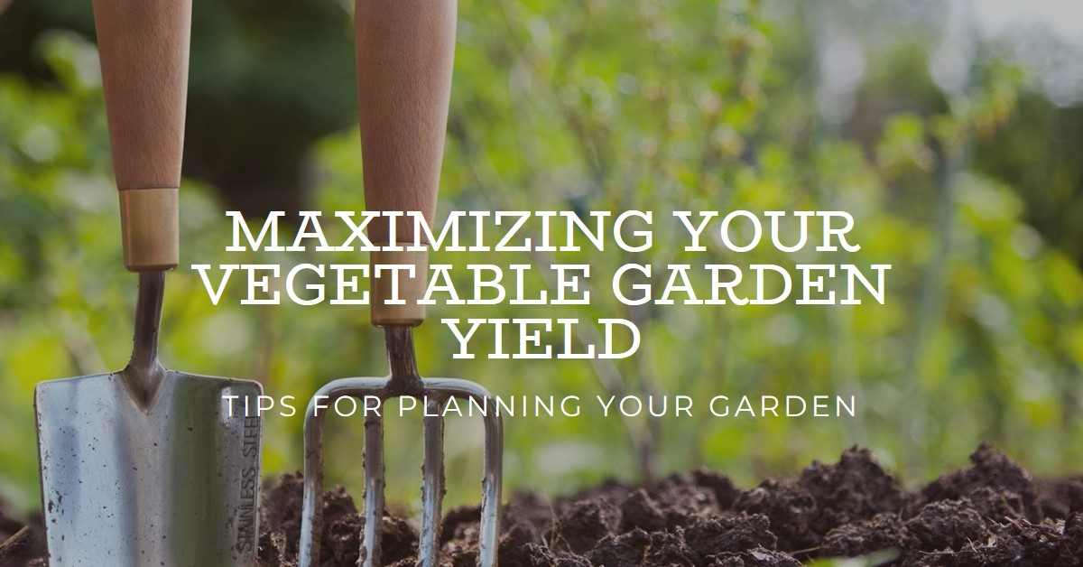 How to Plan Your Vegetable Garden for Maximum Yield
