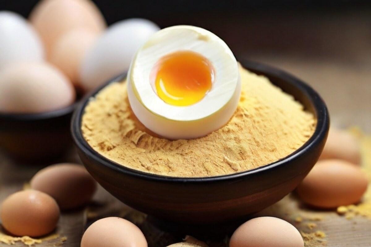 Egg Powder Market