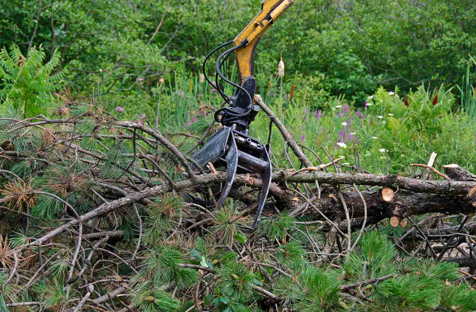 brush removal company in Lynchburg