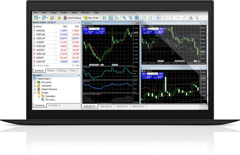 Metatrader 5 Platform