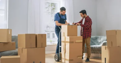 Safe Ship Moving Services Discusses the Need for Professional Packing Services for a Move